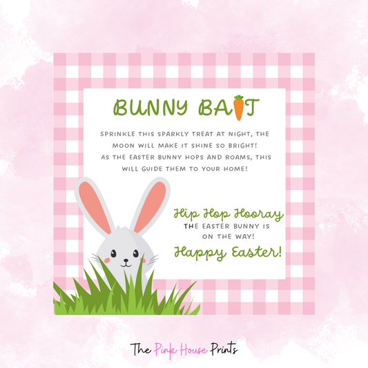Easter Bunny Bait & Note Bundle